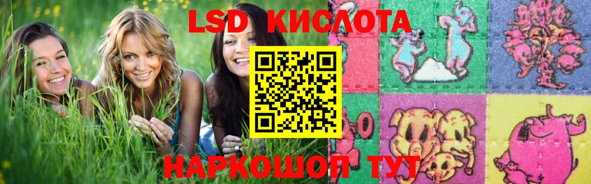 Лсд 25 экстази  Вход с VPN  мега ссылки  Новодвинск  LSD-25 экстази кислота  LSD-25 экстази ecstasy 